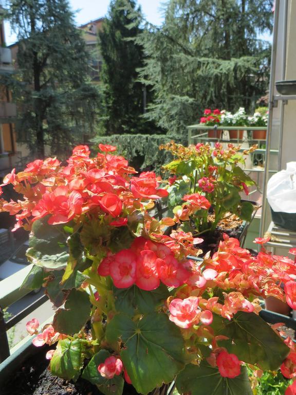 B&B Casa Patavina Падуя Экстерьер фото